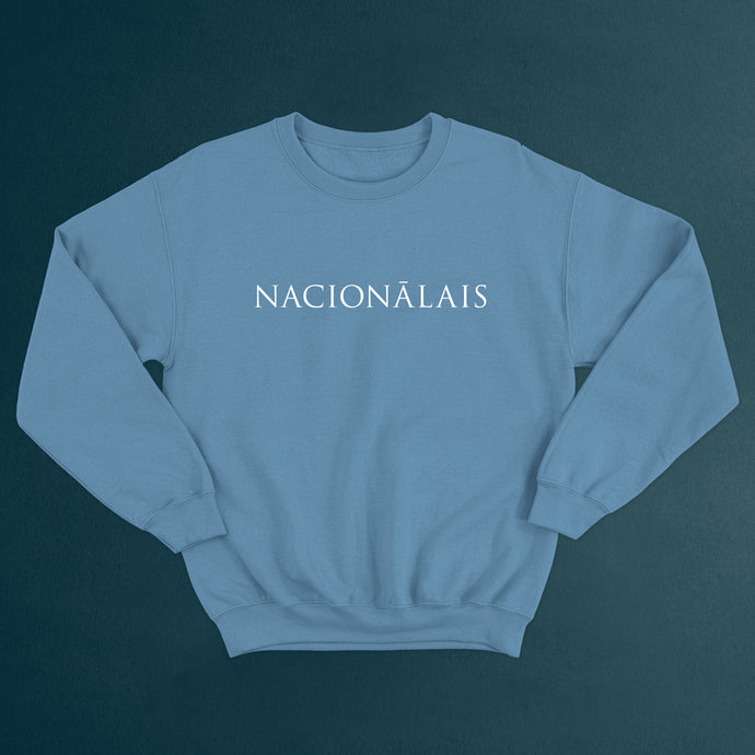 Zils vīriešu džemperis 